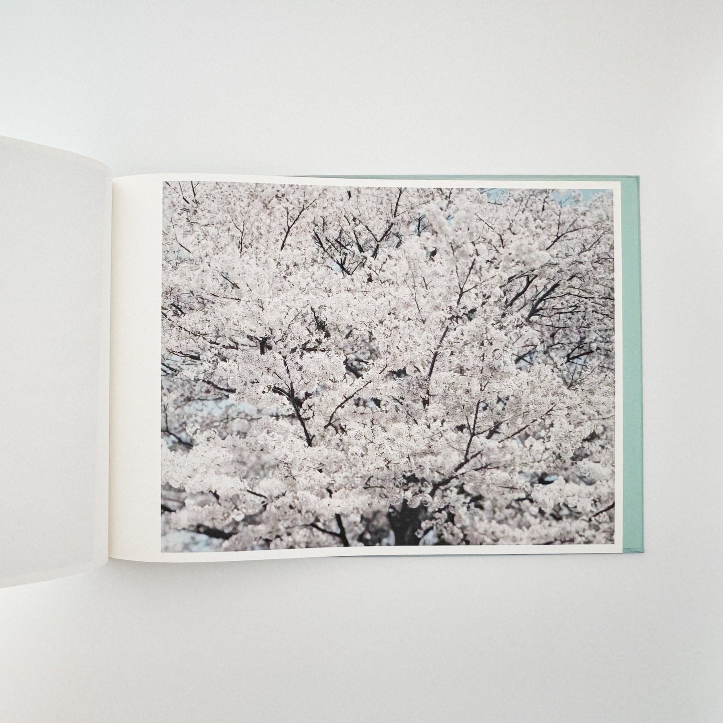 鈴木理策 海と山のあいだ Between the Sea and the Mountain – Kumano(サイン入り) - アマナサルト - 文福