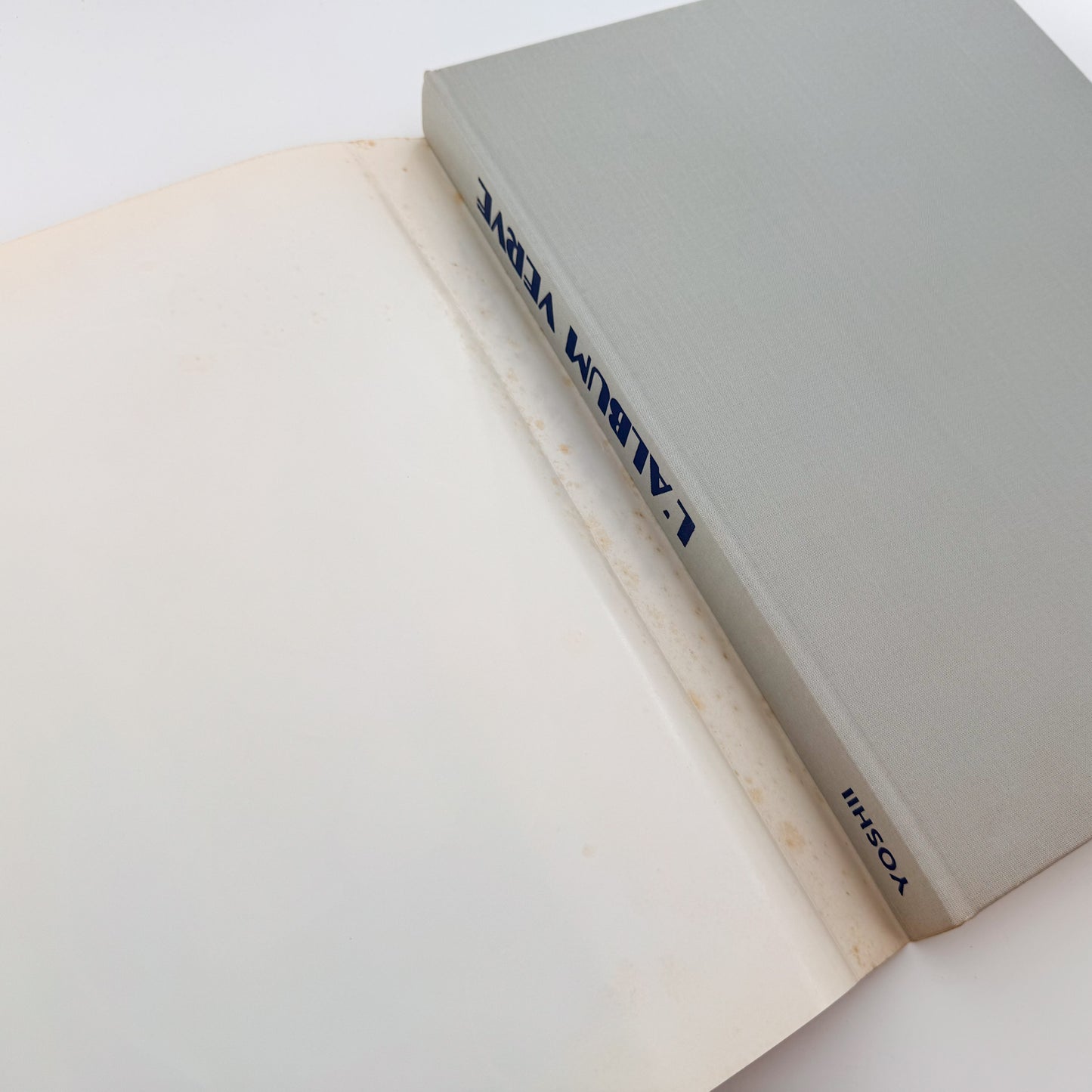 アルバム・ヴェルヴ Michel Anthonioz: L'Album Verve|Editions Galerie Yoshii - 文福
