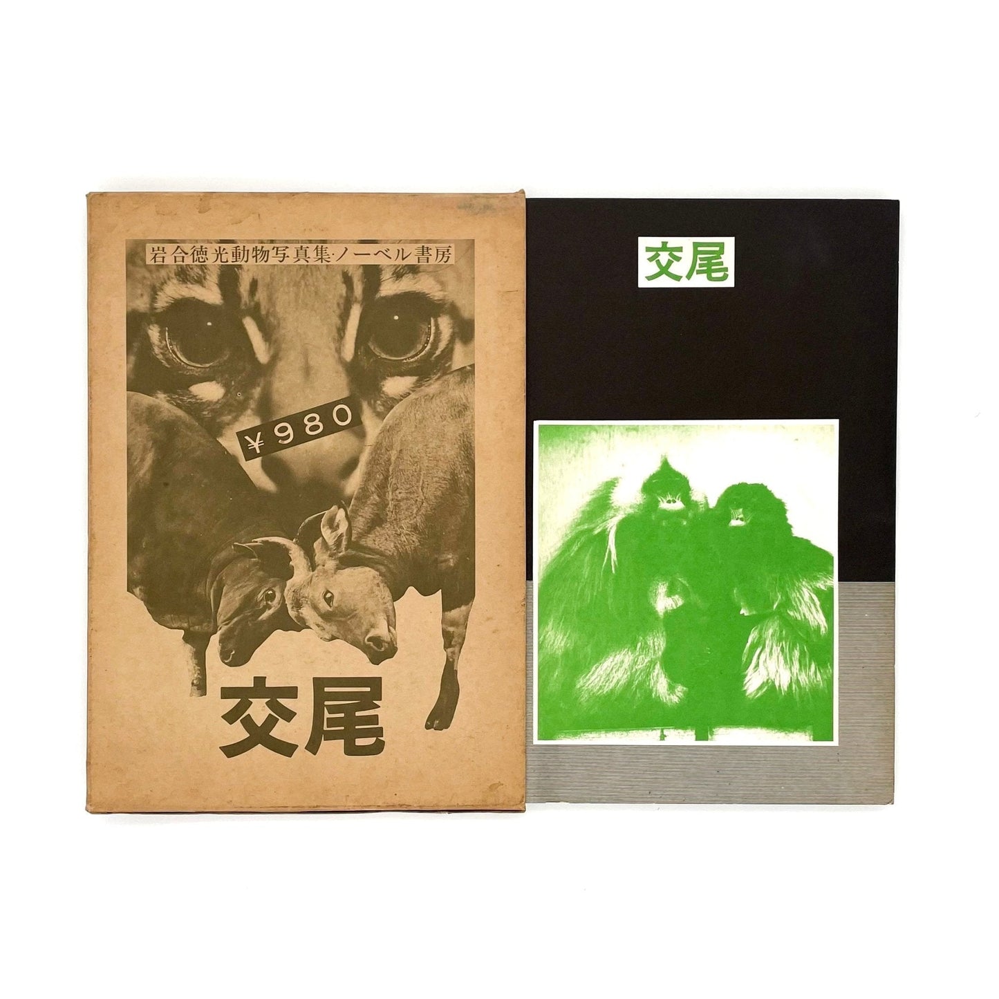 岩合徳光 交尾 - ノーベル書房 - 文福