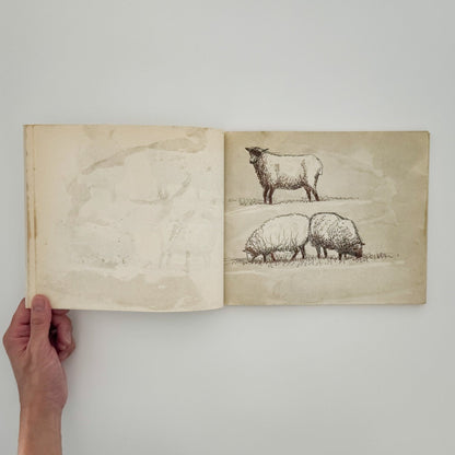 ヘンリー・ムーア　羊のスケッチブック Henry Moore's Sheep Sketchbook - 文福