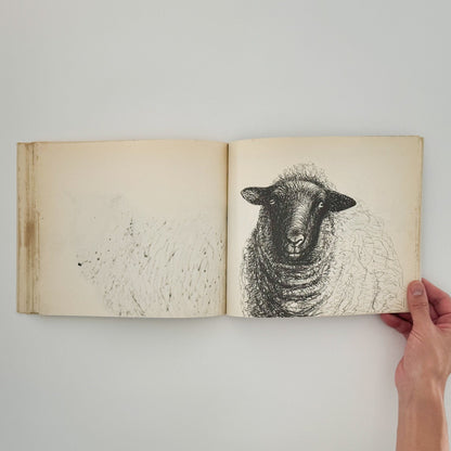 ヘンリー・ムーア　羊のスケッチブック Henry Moore's Sheep Sketchbook - 文福