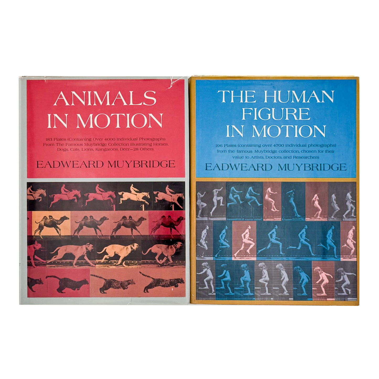 Eadweard Muybridge : Animals in Motion , The Human Figure in Motion｜DOVER - 文福