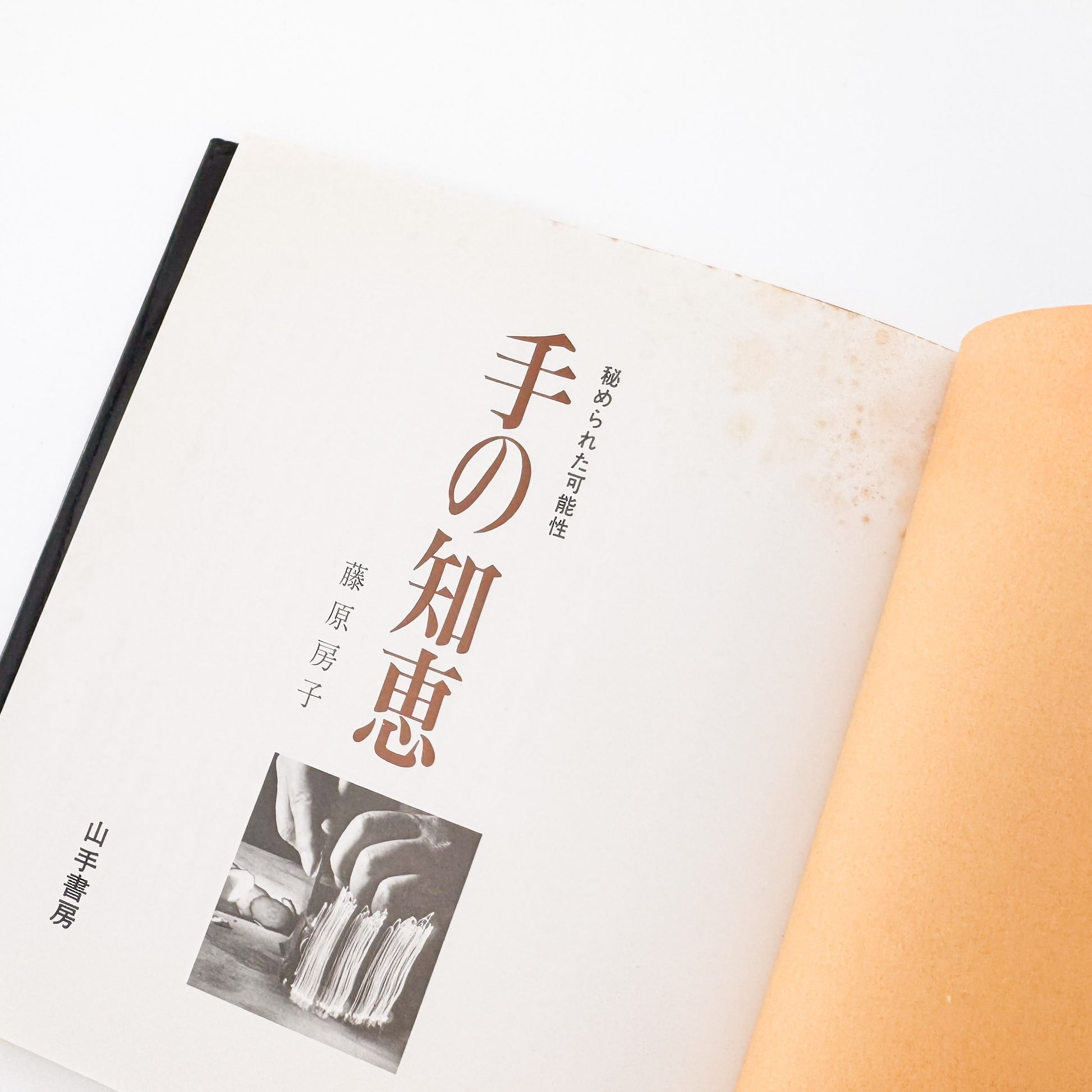 藤原房子 : 手の知恵　秘められた可能性｜山手書房 - 文福 BUNBUKU