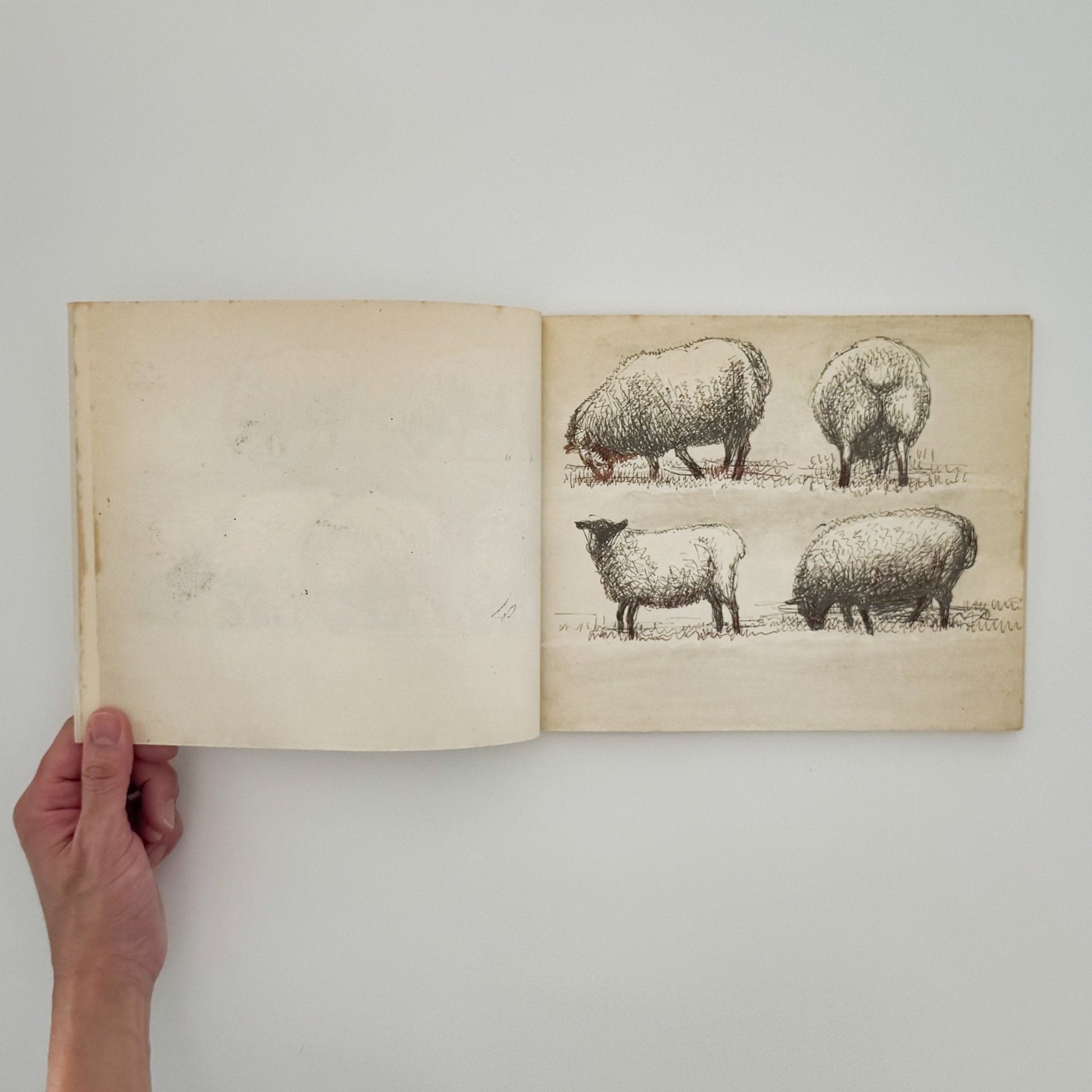 ヘンリー・ムーア　羊のスケッチブック Henry Moore's Sheep Sketchbook - THAMES AND HUDSON - 文福