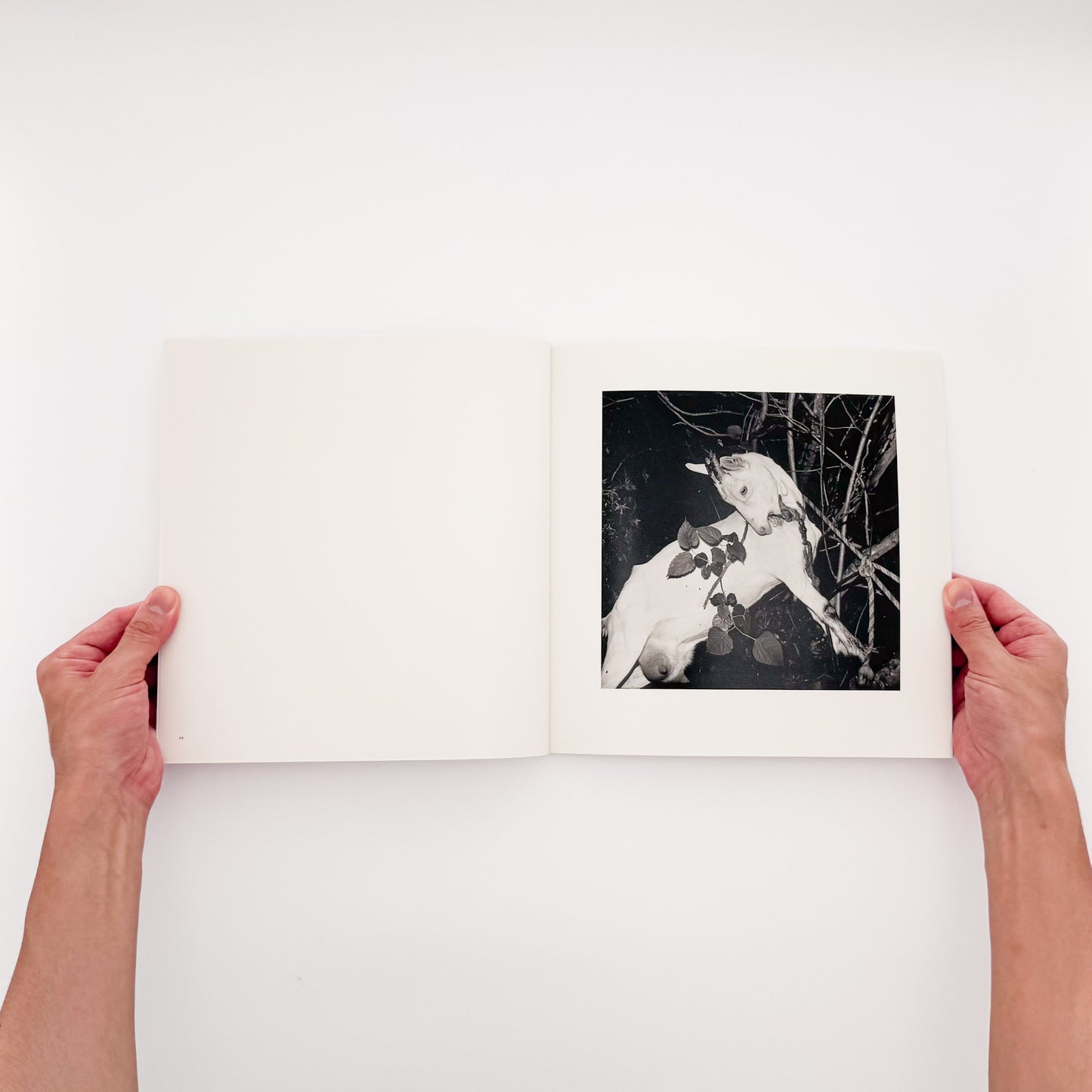 須田一政『風姿花伝』 / Issei Suda Exhibition Fushikaden　1970年代の日本各地の祭りや日常を撮影した代表作を再編集した展覧会カタログ