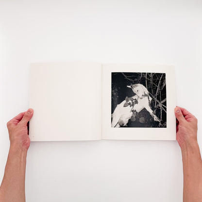 須田一政『風姿花伝』 / Issei Suda Exhibition Fushikaden　1970年代の日本各地の祭りや日常を撮影した代表作を再編集した展覧会カタログ