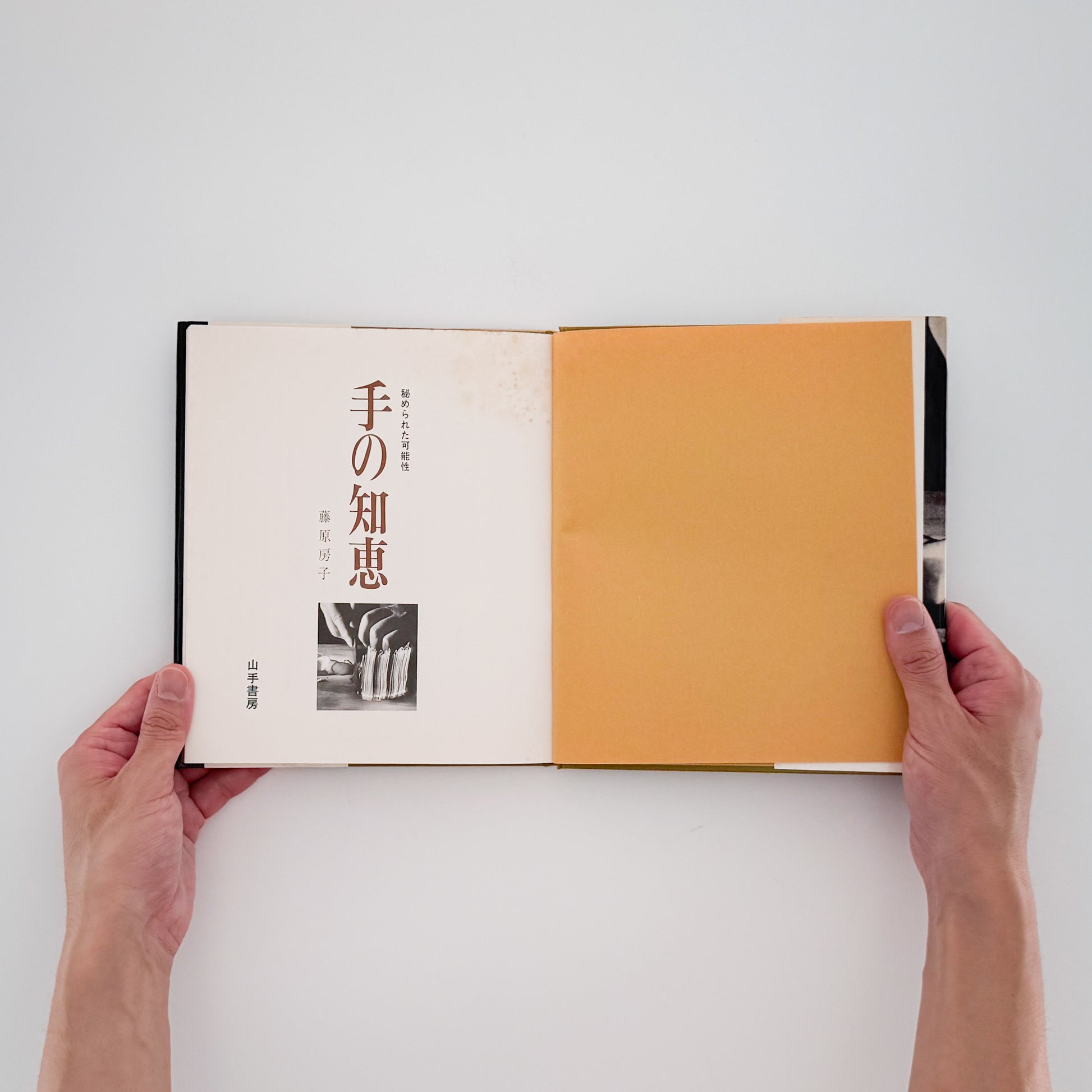 藤原房子 : 手の知恵　秘められた可能性｜山手書房 - 文福 BUNBUKU