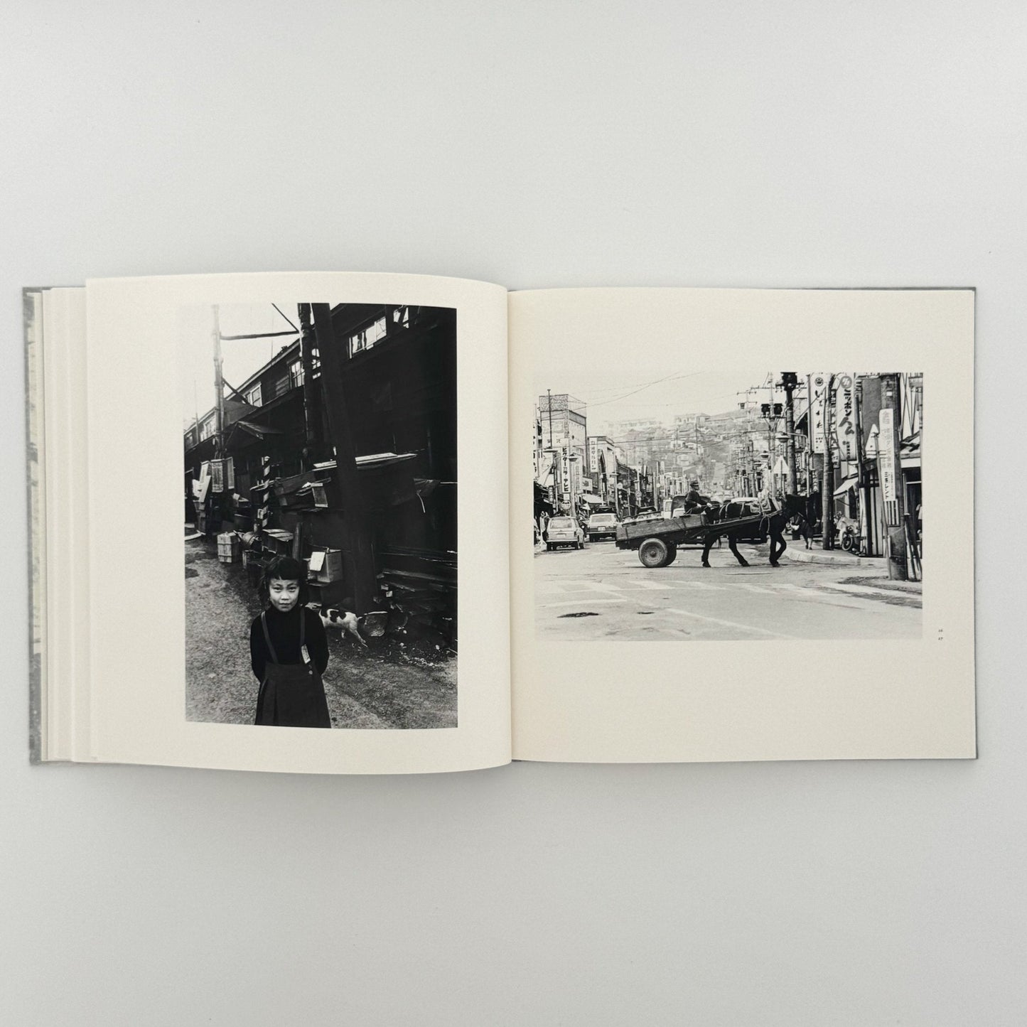 柳沢信　Untitled - roshin books - 文福