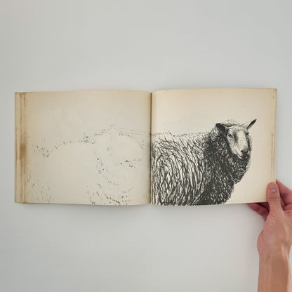 ヘンリー・ムーア　羊のスケッチブック Henry Moore's Sheep Sketchbook - THAMES AND HUDSON - 文福