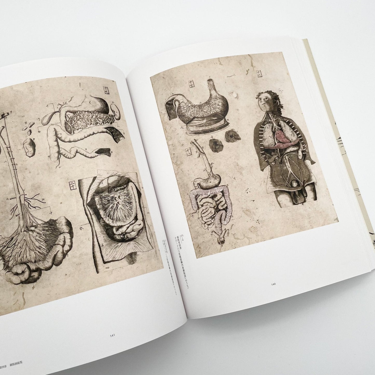 没後200年 亜欧堂田善 江戸の洋風画家・創造の軌跡 - 福島県立美術館/千葉市美術館/東京新聞 - 文福