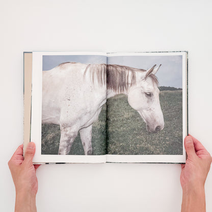遠藤文香: ENDO Ayaka『Pneuma』roshin books刊行、遠野の馬と風景を撮影した写真集