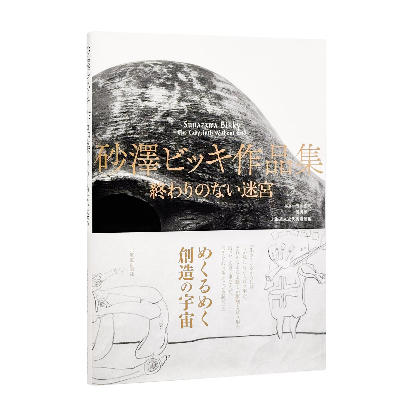 砂澤ビッキ : 終わりのない迷宮｜北海道新聞社 - 文福 BUNBUKU