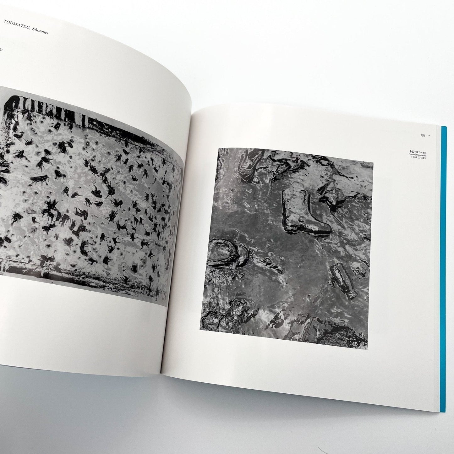 25人の20代の写真　ヤング・ポートフォリオ　Works By 25 Photographers in Their 20s - 清里フォトアートミュージアム - 文福