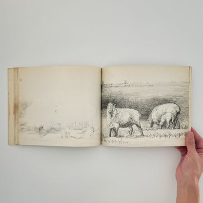 ヘンリー・ムーア　羊のスケッチブック Henry Moore's Sheep Sketchbook - 文福