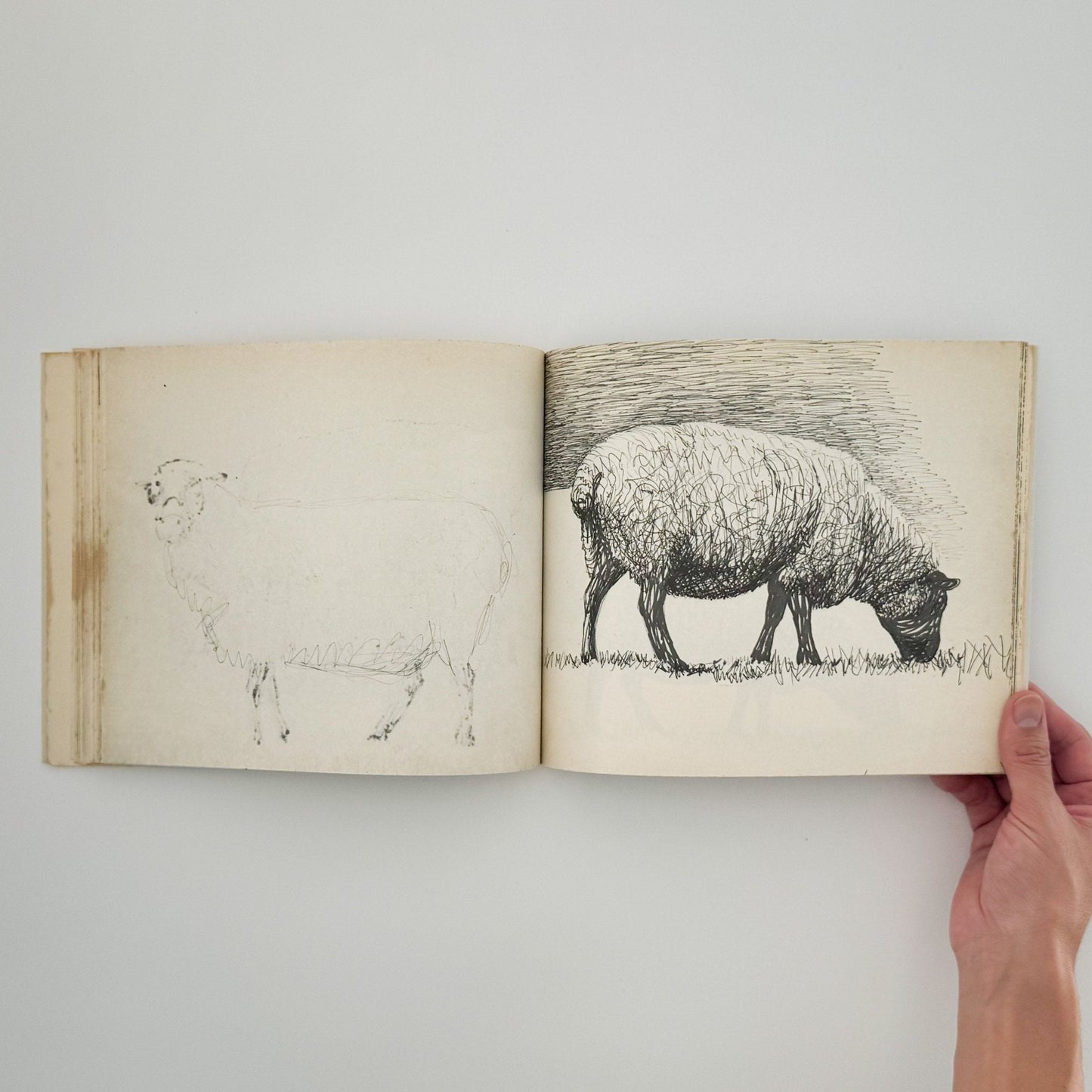 ヘンリー・ムーア　羊のスケッチブック Henry Moore's Sheep Sketchbook - THAMES AND HUDSON - 文福