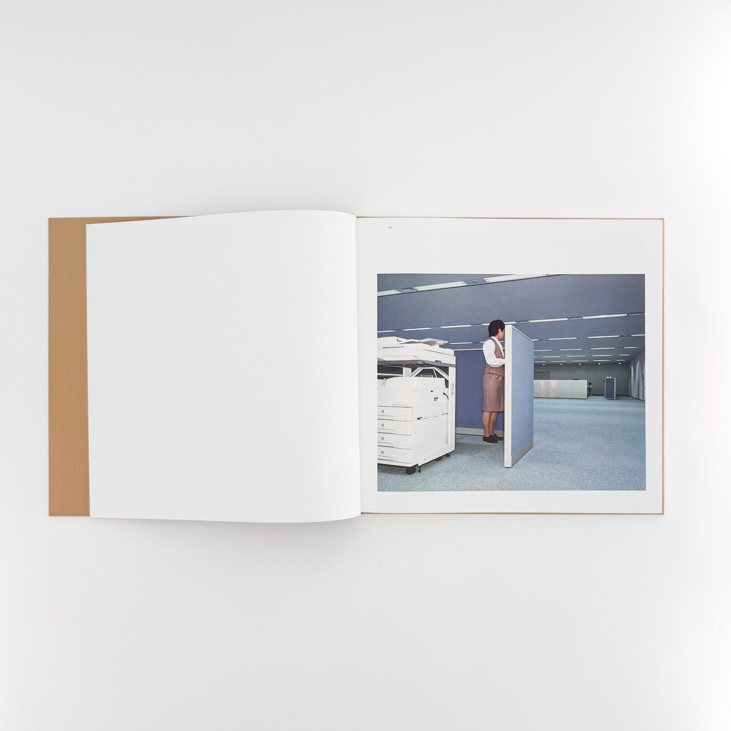 ラーシュ・トゥンビョルク写真集:  Lars Tunbjörk: Office / LA Office / LOOSE JOINTS - 文福　BUNBUKU