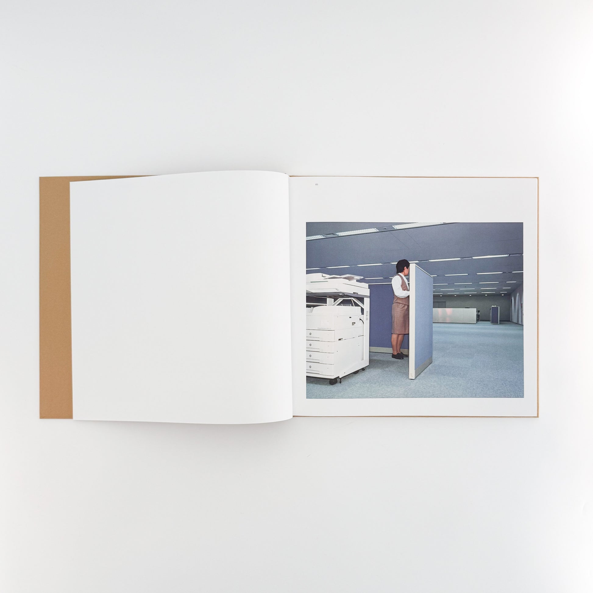 ラーシュ・トゥンビョルク写真集:  Lars Tunbjörk: Office / LA Office / LOOSE JOINTS - 文福　BUNBUKU