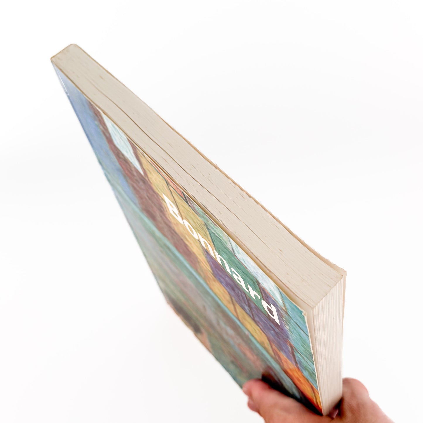BonnardPierre Bonnard : Bonnard ボナール｜Tate Gallery Publishing - 文福 BUNBUKU