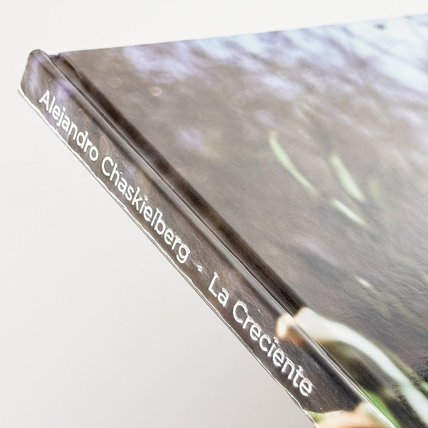 アレハンドロ・チャスキールバーグ写真集  Alejandro CHASKIELBERG　La Creciente / Nazraeli Press