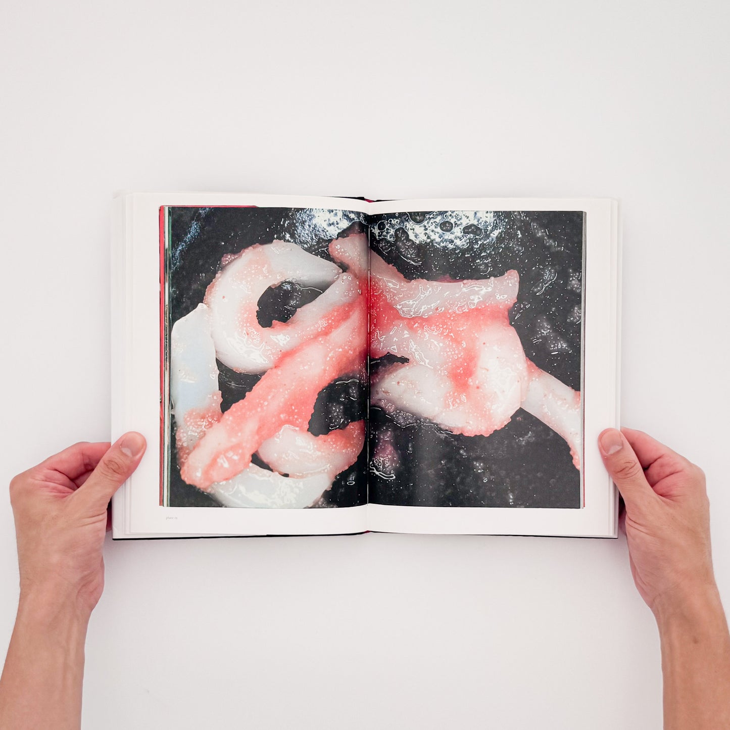 荒木経惟 / ARAKI Nobuyoshi『The Banquet』1993年刊行の写真集『食事』を全ページ複写収録したErrata Editions Books on Books #15