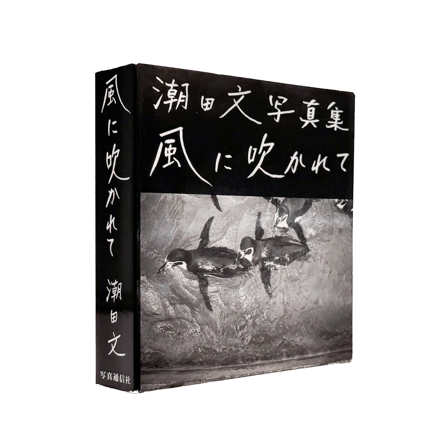 潮田文 : 風に吹かれて｜写真通信社 - 文福 BUNBUKU