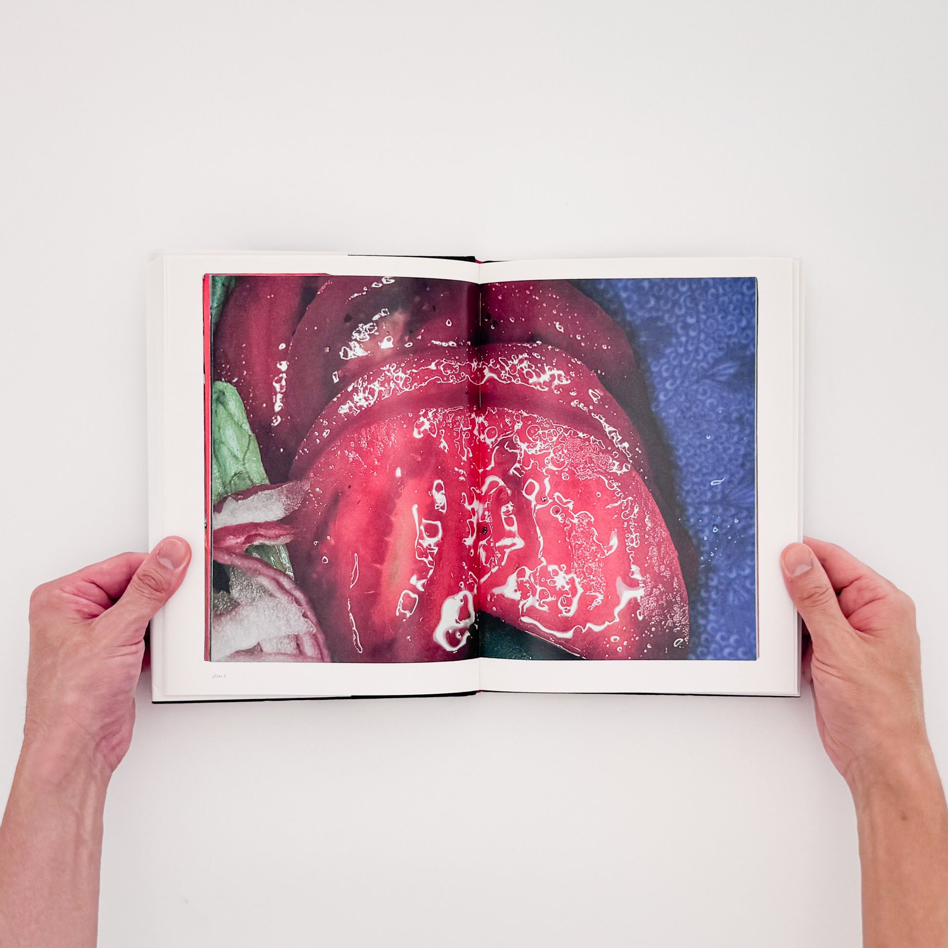 荒木経惟 / ARAKI Nobuyoshi『The Banquet』1993年刊行の写真集『食事』を全ページ複写収録したErrata Editions Books on Books #15