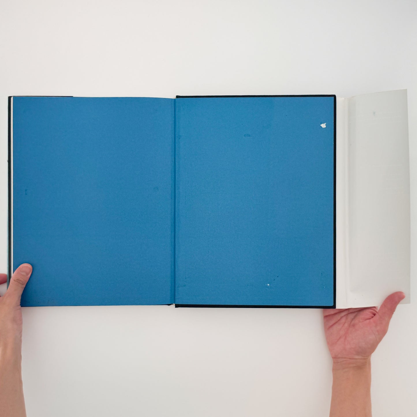 Françoise de Bonneville : THE BOOK OF THE BATH｜Rizzoli - 文福 BUNBUKU