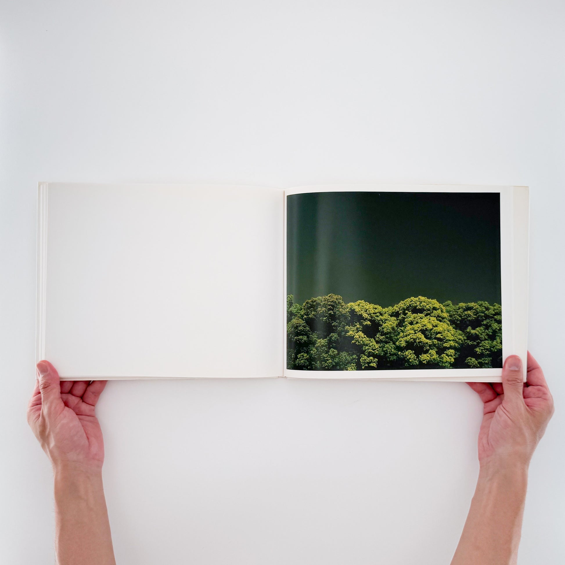 今井智己 : 真昼 In The Middle of The Day｜青幻舎 - 文福 BUNBUKU
