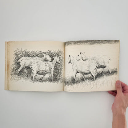 ヘンリー・ムーア　羊のスケッチブック Henry Moore's Sheep Sketchbook - 文福