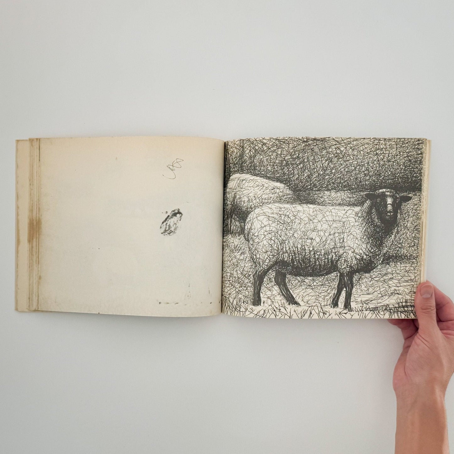 ヘンリー・ムーア　羊のスケッチブック Henry Moore's Sheep Sketchbook - THAMES AND HUDSON - 文福