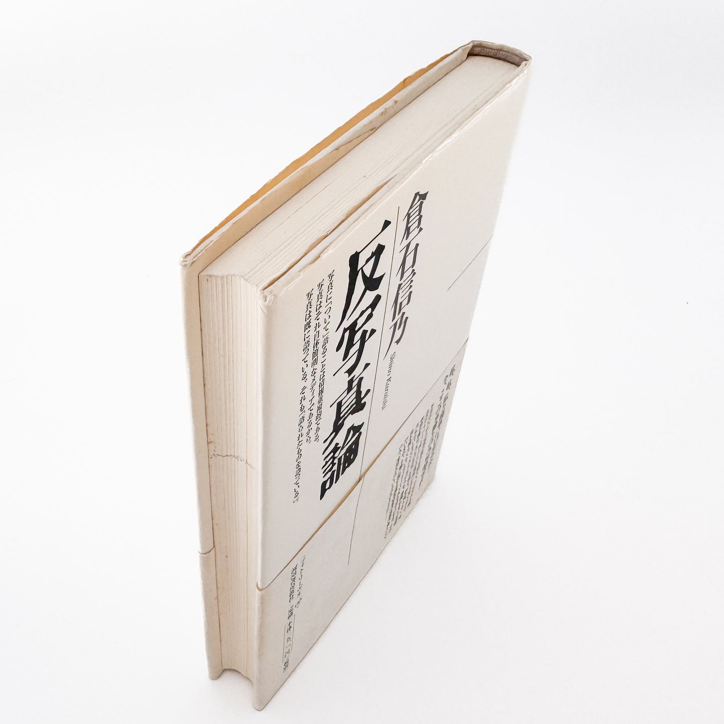 倉石信乃 : 反写真論（フォト・リーヴル 6）｜河出書房新社 - 文福 BUNBUKU