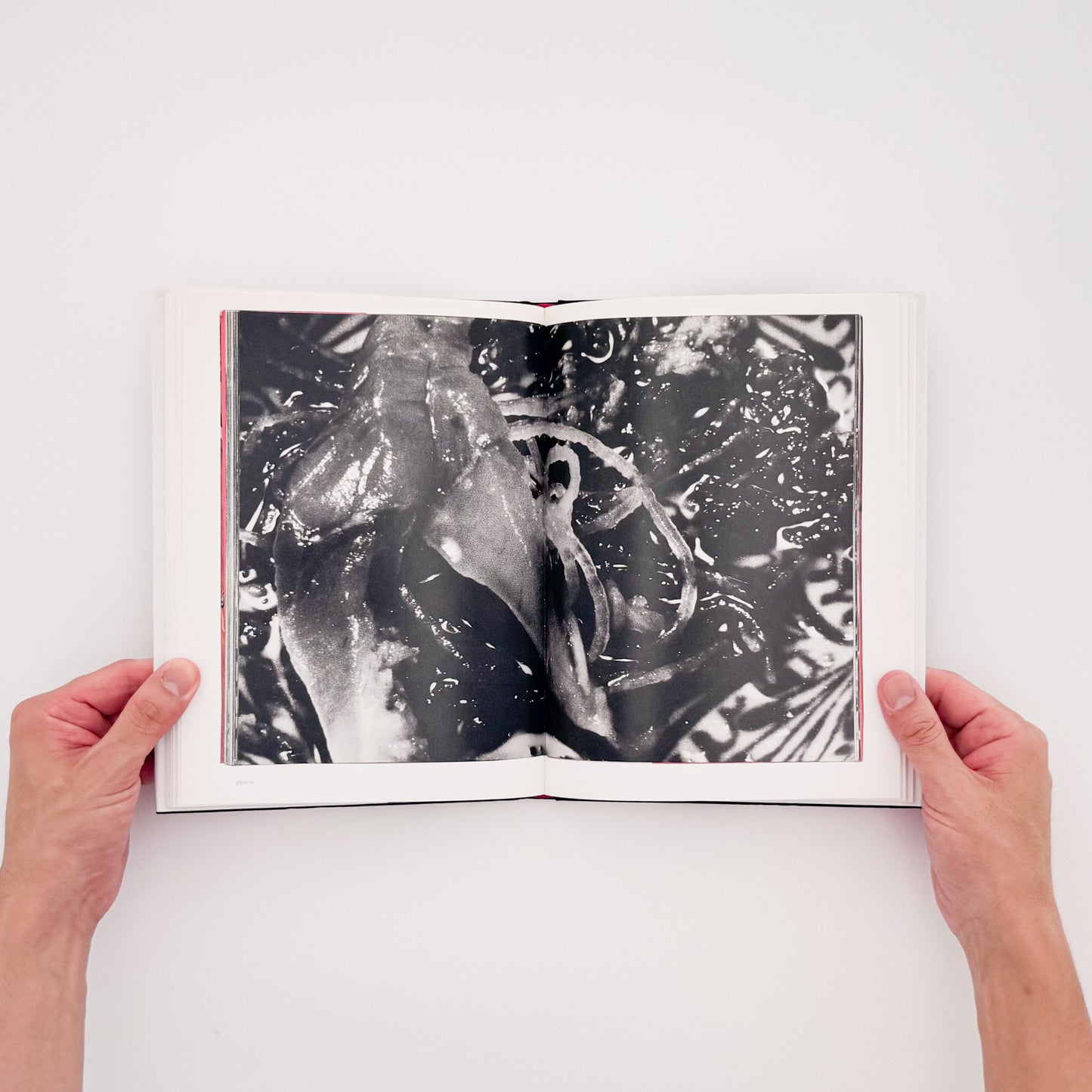 荒木経惟 / ARAKI Nobuyoshi『The Banquet』1993年刊行の写真集『食事』を全ページ複写収録したErrata Editions Books on Books #15