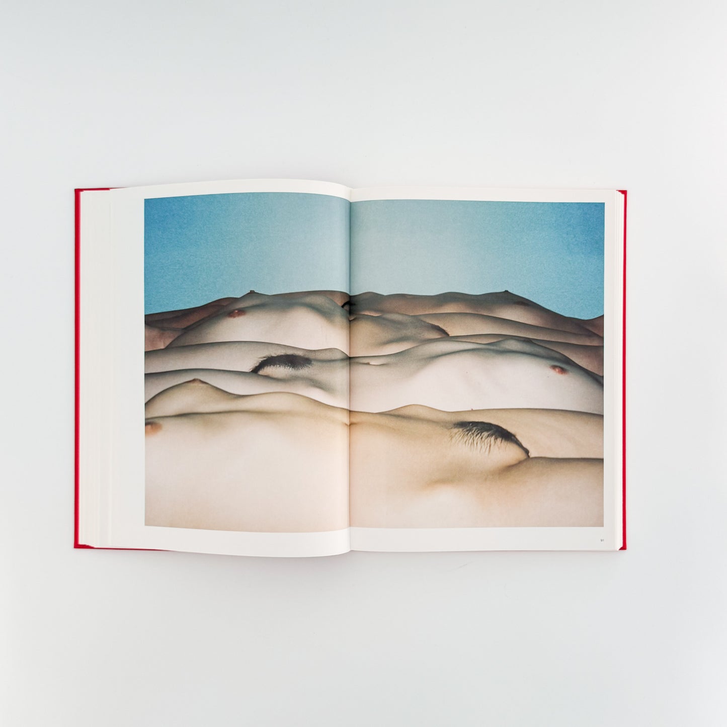 任 航 写真集  Ren HANG（レン・ハン）　 / TASCHEN (2017)