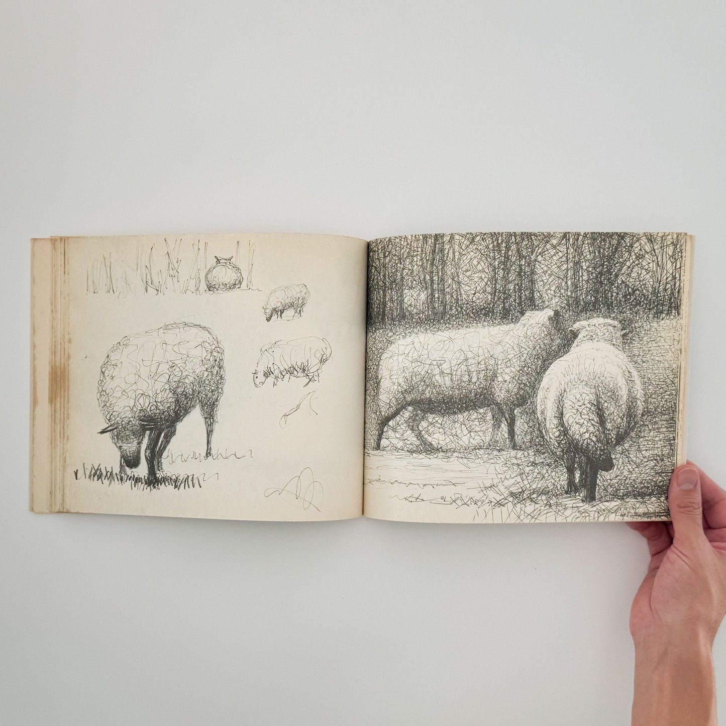 ヘンリー・ムーア　羊のスケッチブック Henry Moore's Sheep Sketchbook - 文福