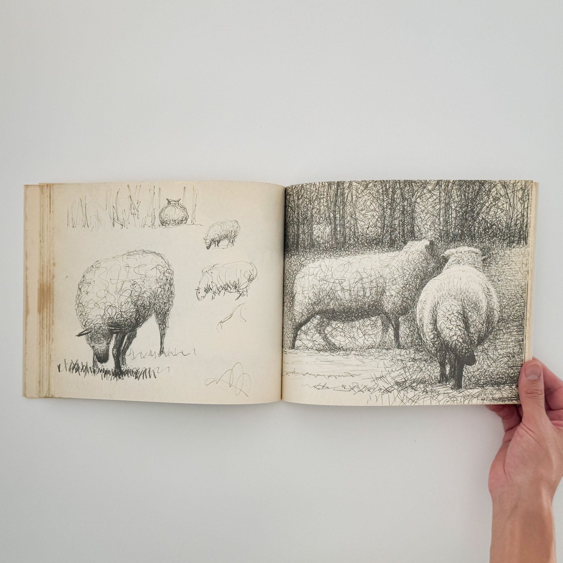 ヘンリー・ムーア　羊のスケッチブック Henry Moore's Sheep Sketchbook - 文福