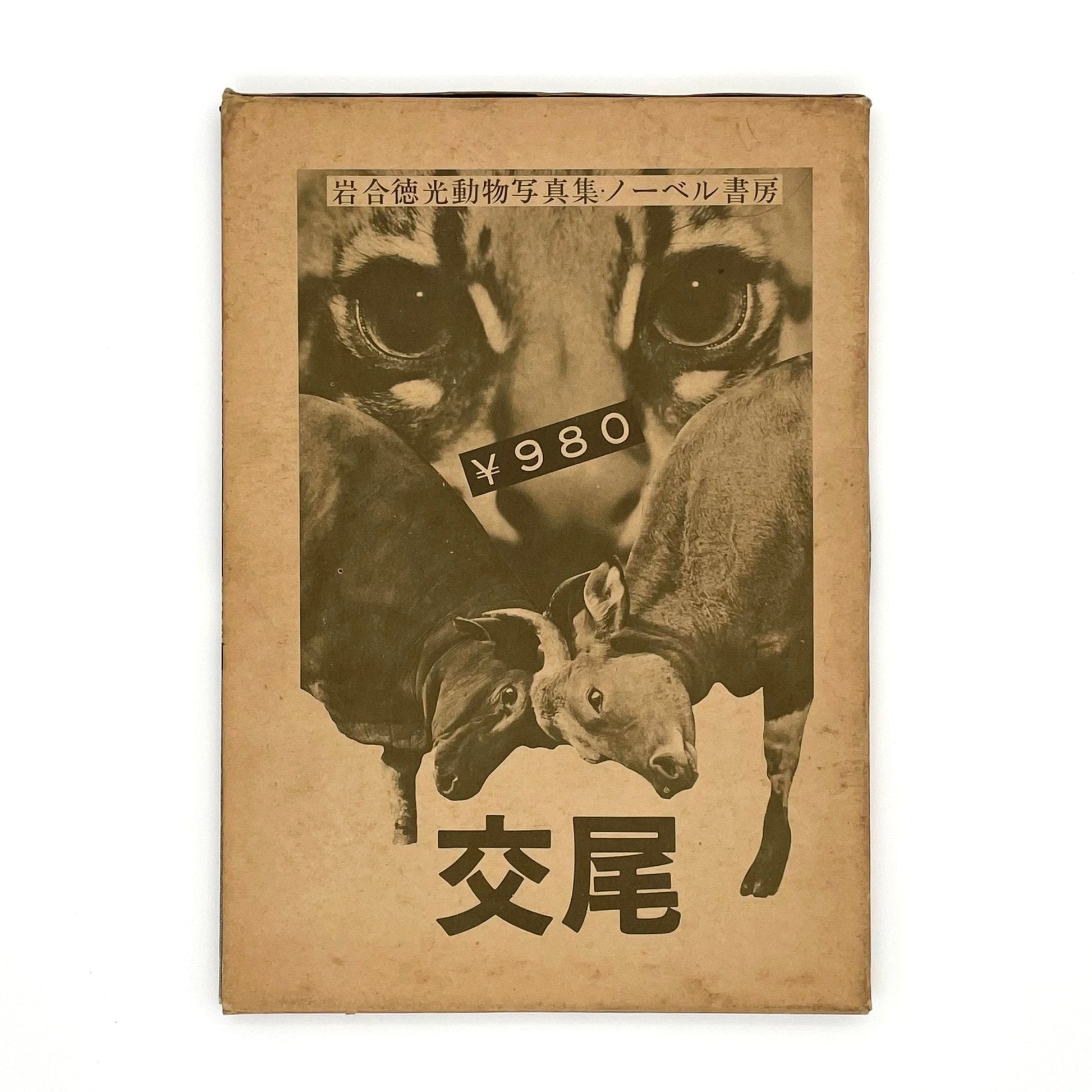 岩合徳光　交尾 - 文福