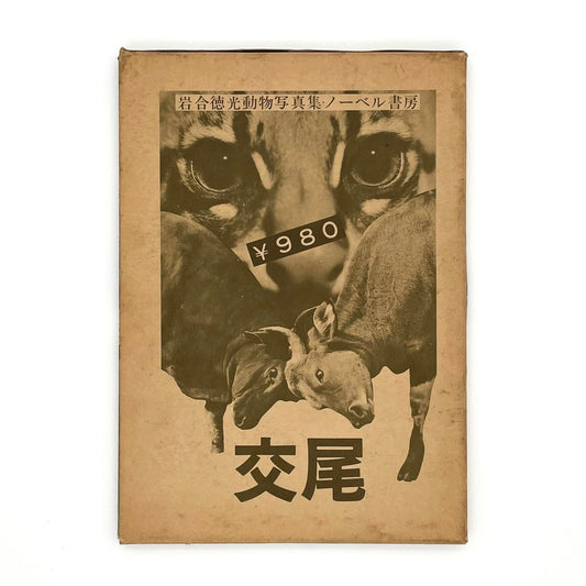 岩合徳光　交尾 - 文福
