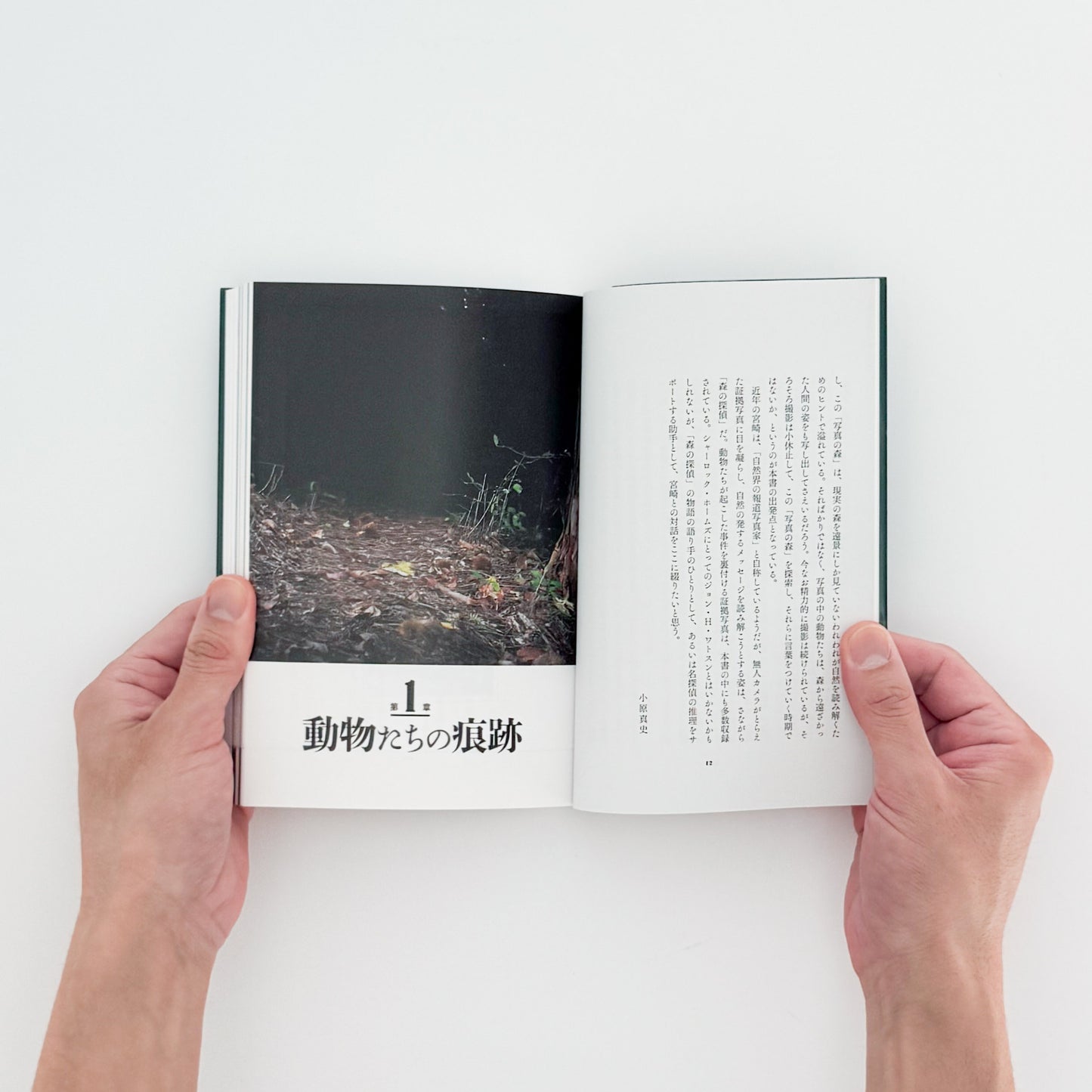 宮崎学、小原真史　新装版　森の探偵　無人カメラがとらえた日本の自然 / 亜紀書房- 文福 BUNBUKU