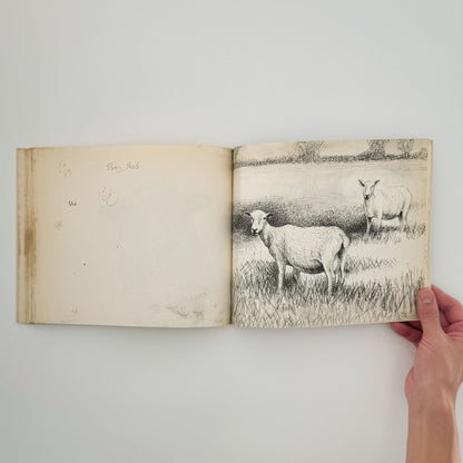 ヘンリー・ムーア　羊のスケッチブック Henry Moore's Sheep Sketchbook - 文福
