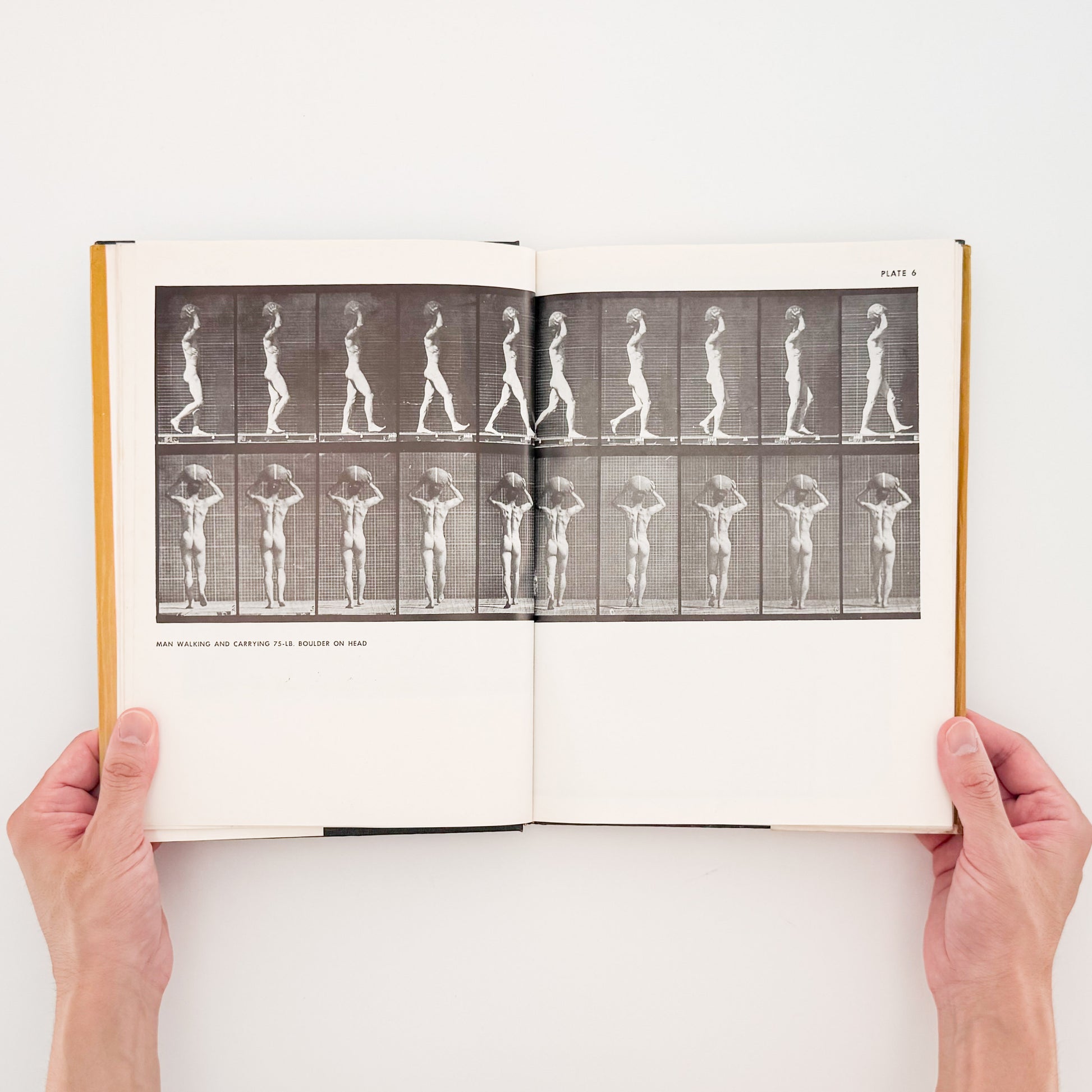 Eadweard Muybridge : Animals in Motion , The Human Figure in Motion｜DOVER - 文福