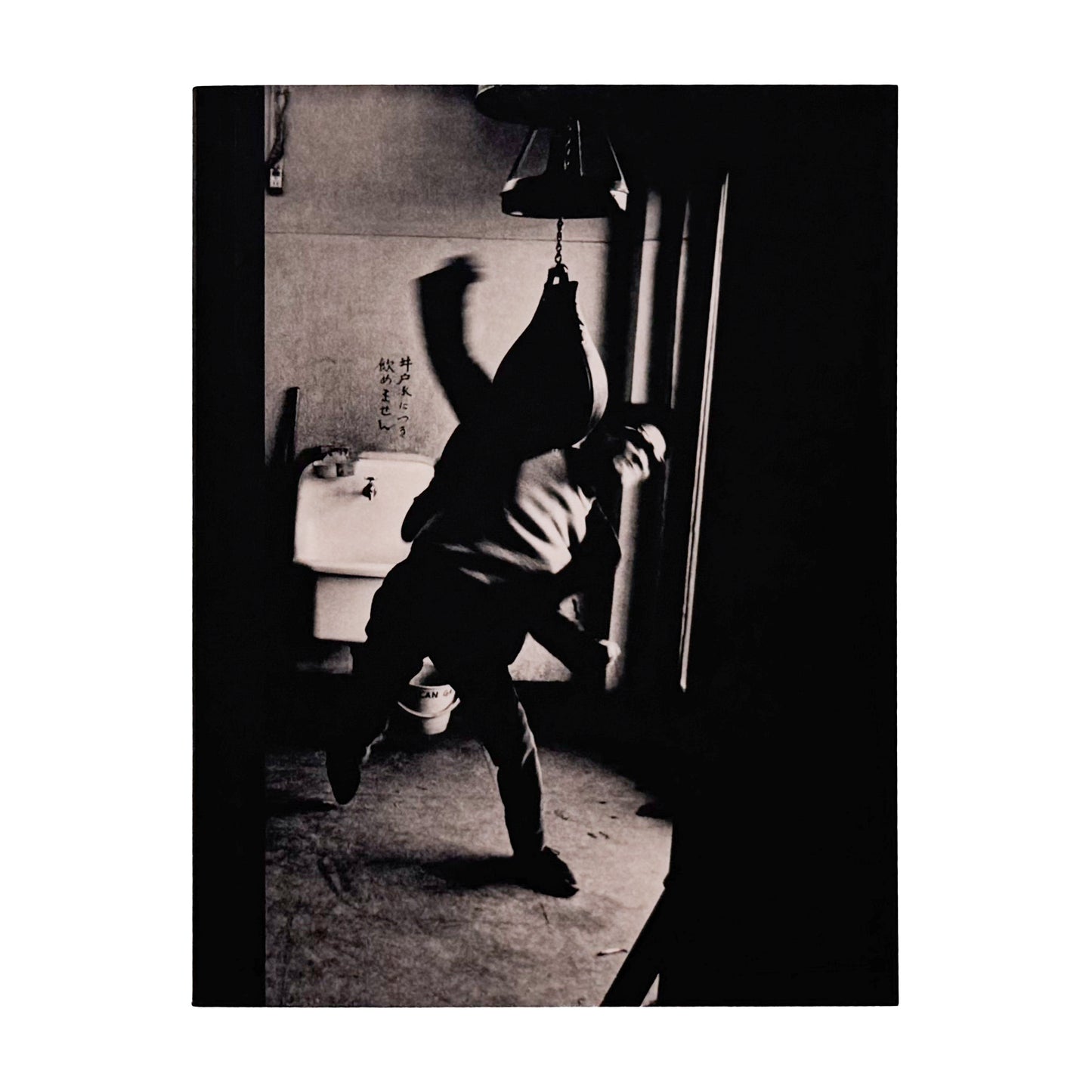 PROVOKE プロヴォーク: Between Protest and Performance - Photography in Japan 1960/1975、Steidl刊行の戦後日本写真展覧会図録