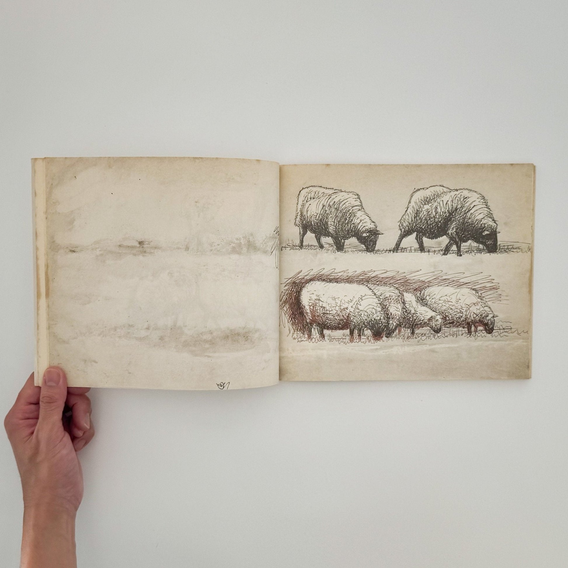 ヘンリー・ムーア　羊のスケッチブック Henry Moore's Sheep Sketchbook - 文福