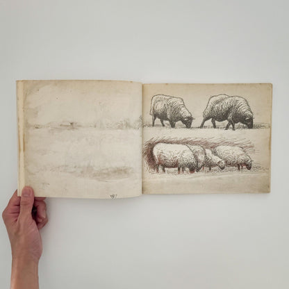 ヘンリー・ムーア　羊のスケッチブック Henry Moore's Sheep Sketchbook - 文福