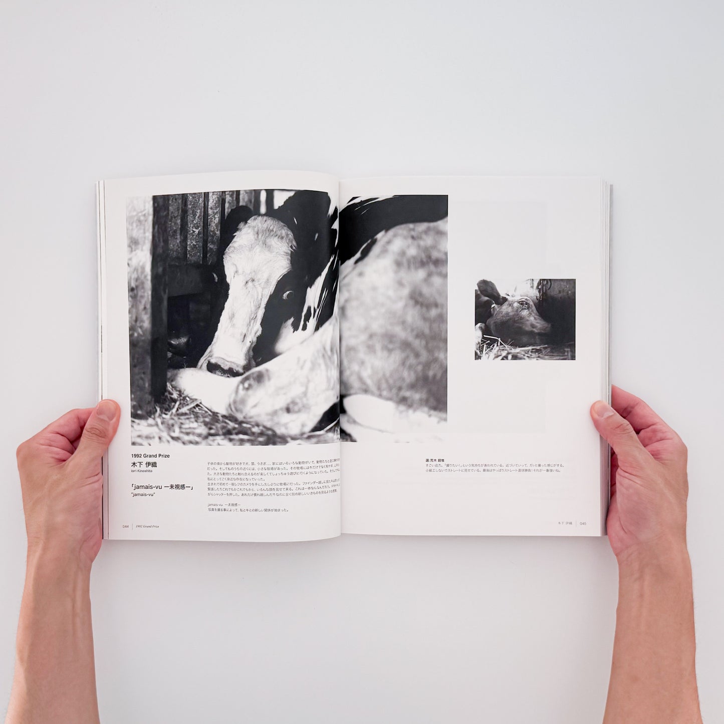 New Cosmos of Photography 30th Anniversary: What Photography Can Do, What Photography Has Done