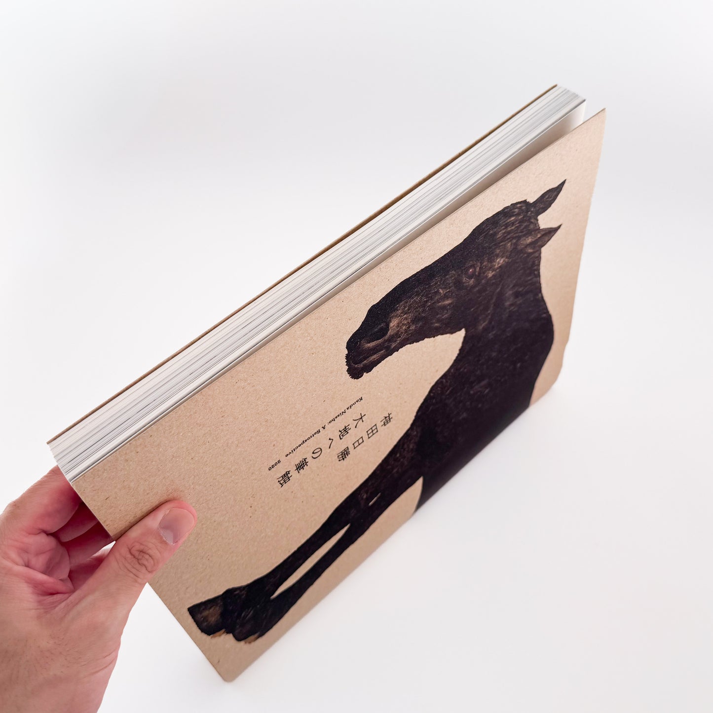 神田日勝: KANDA Nissho『大地への筆触』北海道新聞社刊行、没後50年記念回顧展の公式図録