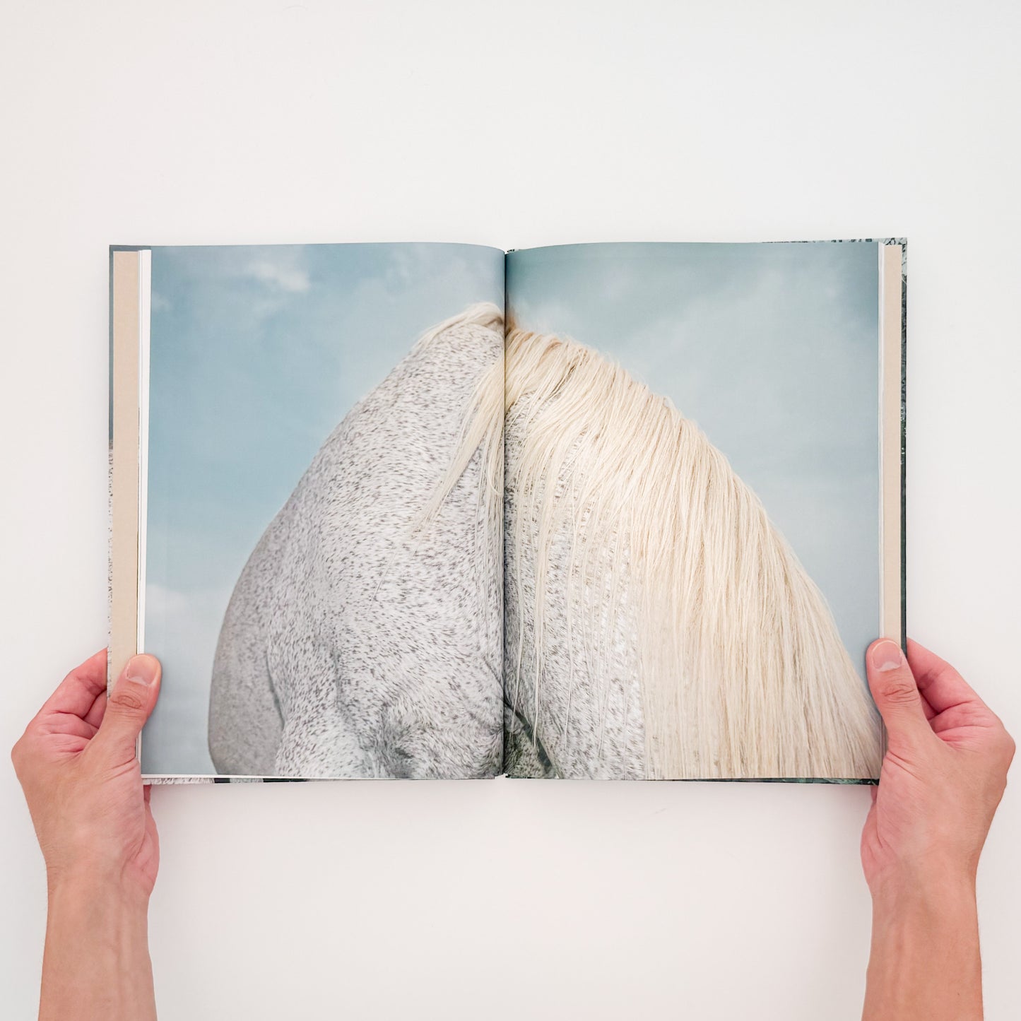 遠藤文香: ENDO Ayaka『Pneuma』roshin books刊行、遠野の馬と風景を撮影した写真集