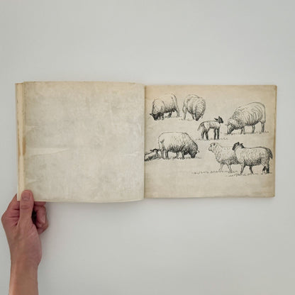ヘンリー・ムーア　羊のスケッチブック Henry Moore's Sheep Sketchbook - THAMES AND HUDSON - 文福