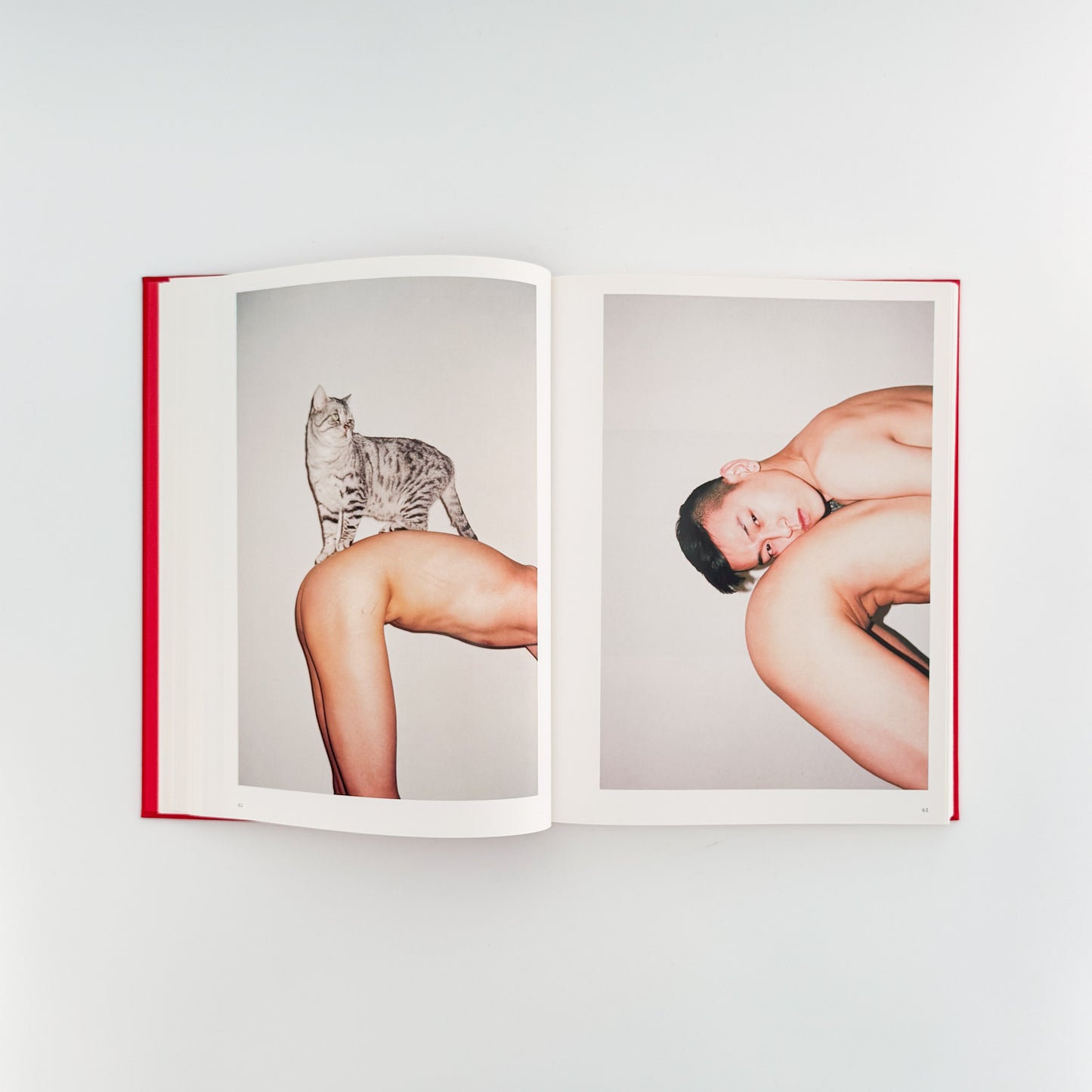 任 航 写真集  Ren HANG（レン・ハン）　 / TASCHEN (2017)