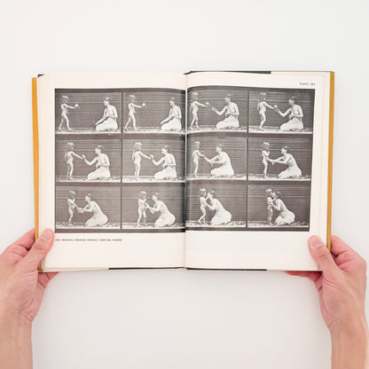 Eadweard Muybridge : Animals in Motion , The Human Figure in Motion｜DOVER - 文福