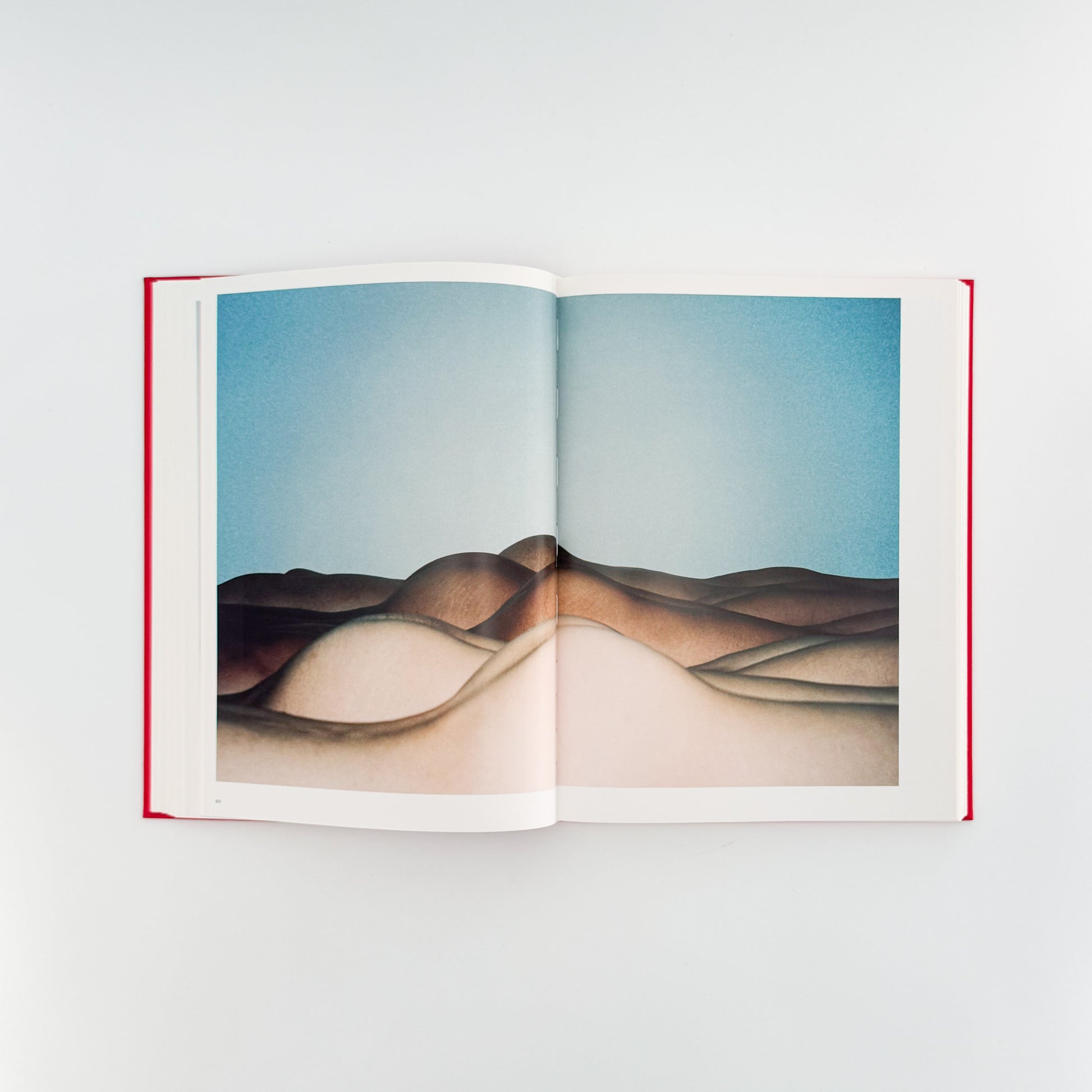 任 航 写真集  Ren HANG（レン・ハン）　 / TASCHEN (2017)